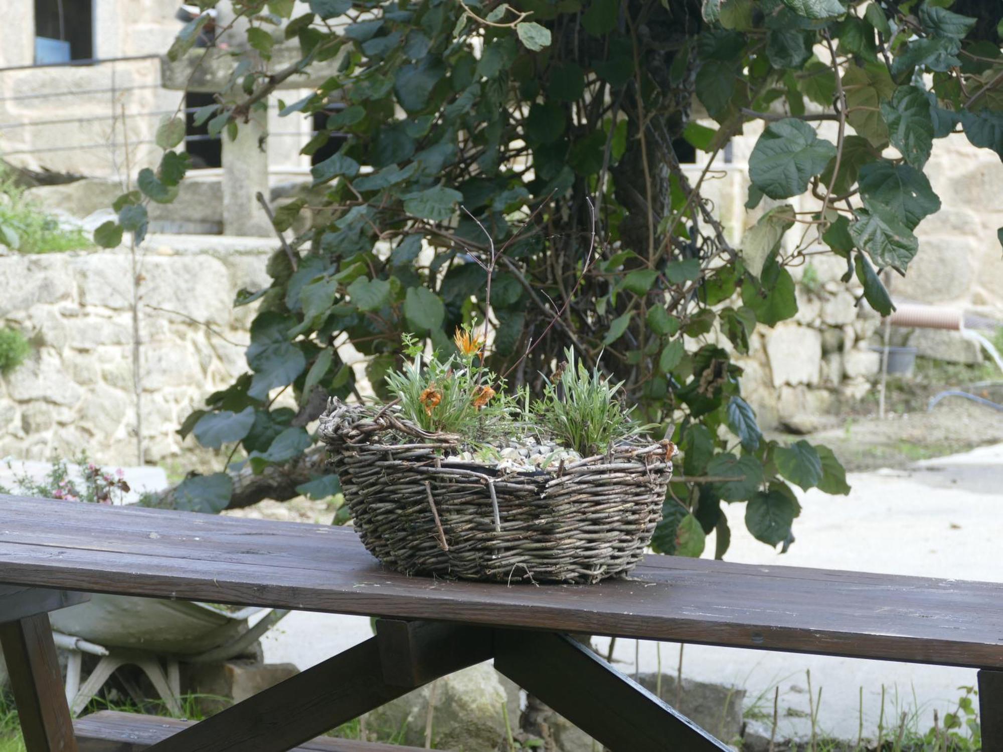 Casita A Estrenar En Finca Con Rio Proxima A Tui, Gondomar Y Portugal. Esterno foto