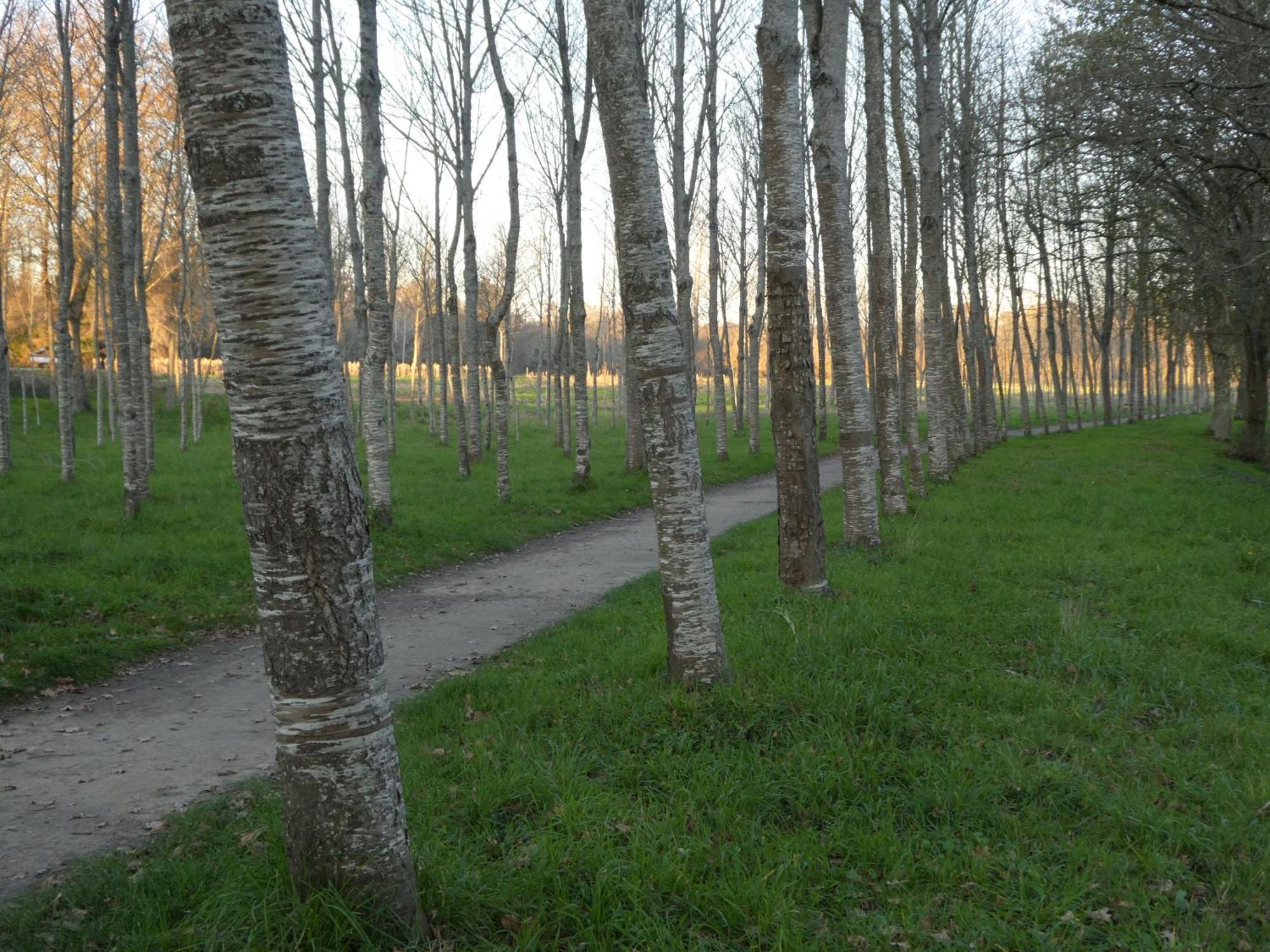 Casita A Estrenar En Finca Con Rio Proxima A Tui, Gondomar Y Portugal. Esterno foto